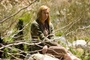 toni collette - The Dead Girl