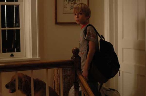 michael pitt 2 - Funny Games U.S