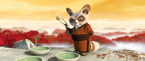 kung fu panda 2 - Kung Fu Panda