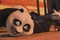 Kung-Fu Panda