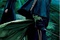 affiche du film harry potter cho et c  dric