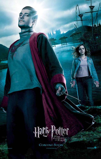 affiche du film harry potter viktor et hermione