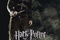 affiche du film ron