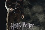 affiche du film ron