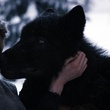 laetitia casta 5 - La Jeune fille et les loups