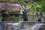 ben stiller 7 - Tonnerre sous les Tropiques