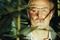 stanley tucci d  couvert