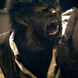 benicio del toro dans wolfman