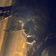 benicio del toro en wolfman