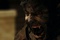 la transformation de benicio del toro en loup garou