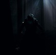 le loup garou dans les bois