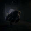 wolfman courant vite