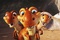 dinosaures
