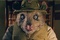 photo 5 du dessin animé fantactique maitre renard