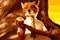 Affiche du film Fantastic Mr. Fox