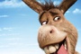 BANNER DONKEY 40x60 BD 31 copy