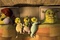 shrek 4 10 4597888ijjoa 1798