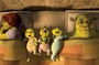 shrek 4 10 4597888ijjoa 1798