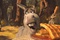 shrek 4 11 4597890bynql 1798