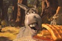 shrek 4 11 4597890bynql 1798