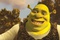 shrek 4 19 4597900vunyh 1798