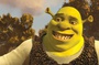 shrek 4 19 4597900vunyh 1798
