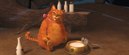 shrek 4 7 4597917ndysp 1798