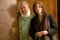 laura linney 2 - La famille Savage