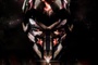affiche teaser USA 4