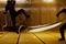sc  ne de combat du film ninja assassin