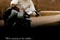 the curious case of benjamin button brad pitt et cate blanchett