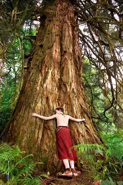 freddie highmore copain avec un arbre