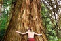 freddie highmore copain avec un arbre