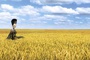 le mechant dans arthur