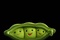 toy story peas in a pod