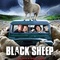 Affiche du film Black Sheep - Black Sheep 
