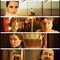 Affiche du film The Good Night - The Good Night 