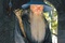 ian mckellen alias gandalf