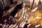 affiche-teaser-hermione-jpg