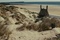 harry-a-la-plage-jpg
