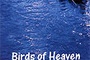 Affiche du film Les oiseaux du ciel