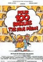 Affiche miniature du film Pour 100 briques t'as plus rien !