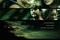 Affiche du film A Perfect Getaway