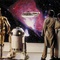 anthony daniels kenny baker mark hamill carrie ficher - Star Wars : Episode 5 - l'empire contre attaque - Star Wars : Episode 5 - l'Empire contre-attaque 