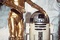 anthony daniels kenny baker - Star Wars : Episode 5 - l'empire contre attaque