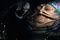 jabba le hutt - Star Wars : Episode 6 - Le retour du jedi