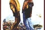 Affiche du film Les frères Pétard