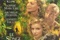 Affiche du film Le songe d'une nuit d'été