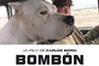 Affiche du film Bombon el Pero