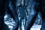 kate beckinsale face a deux lycans